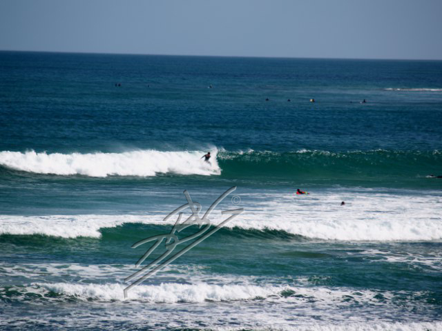 Duc Bui-Viet :: Torquay Surf